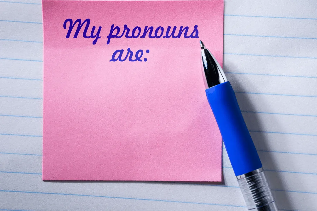 Perbedaan Noun dan Pronoun Fungsi, Contoh, dan Cara Penggunaannya