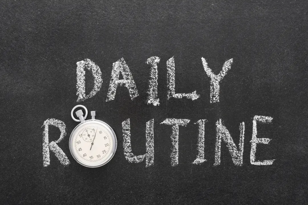 25 Contoh Daily Routines dalam Bahasa Inggris dan Artinya